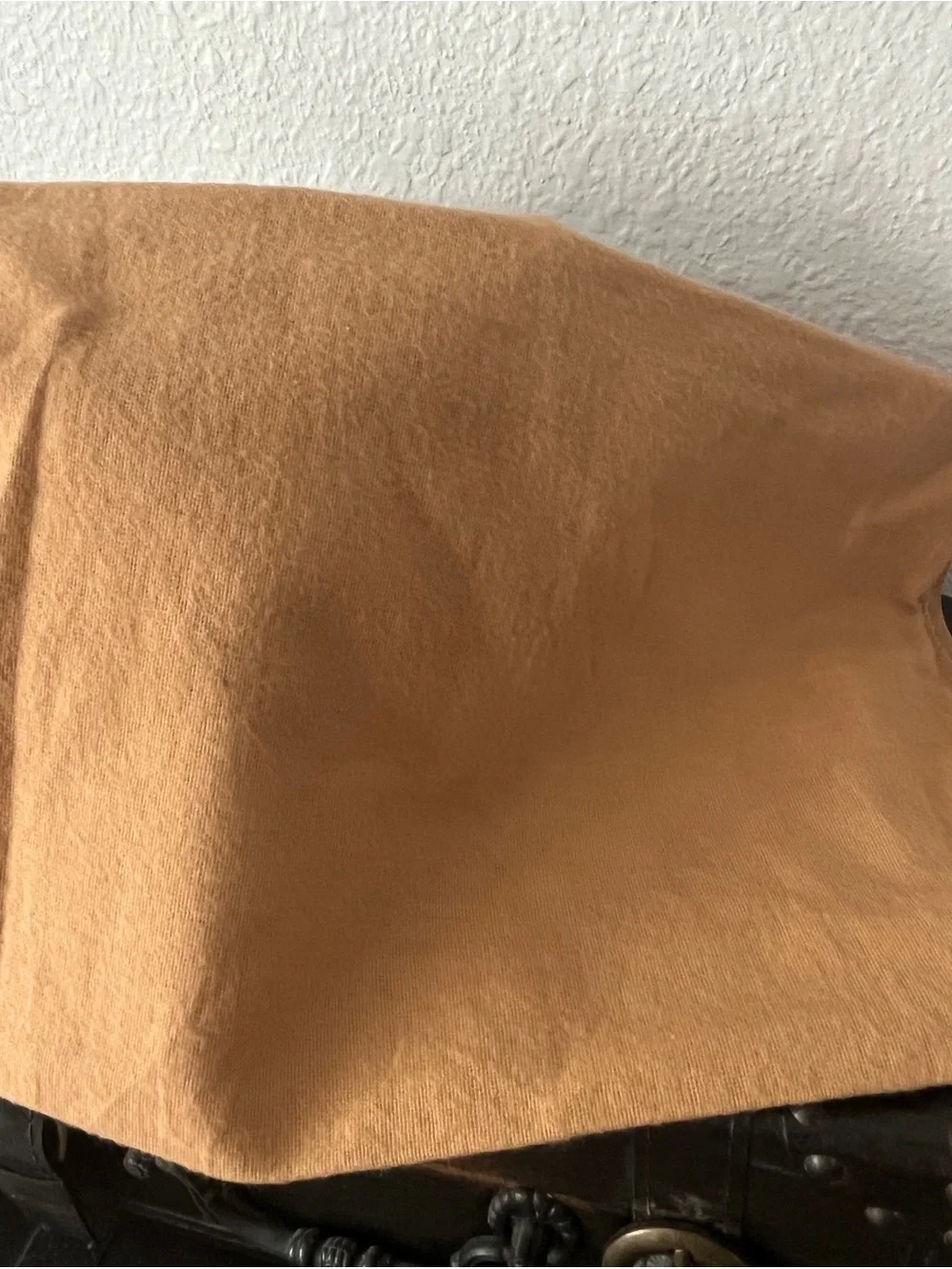 Louis Vuitton Camel Dust Cover with Black LV Monogram